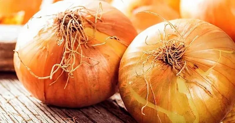 خرید پیاز زرد